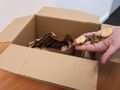 How to make a dig box, pit and other indoor enrichment 