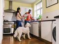 Why your dog follows you
